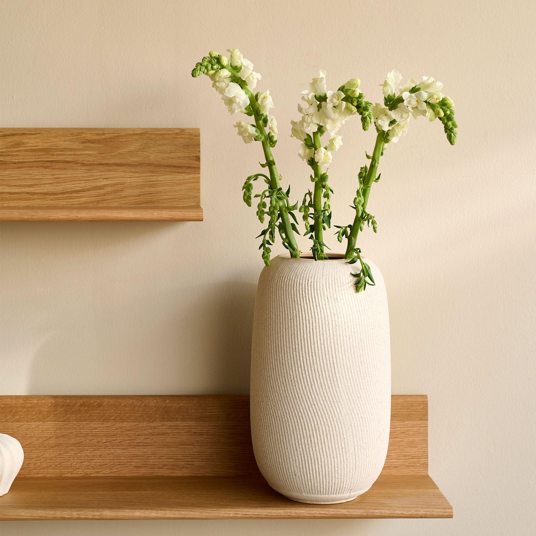 Vica vase